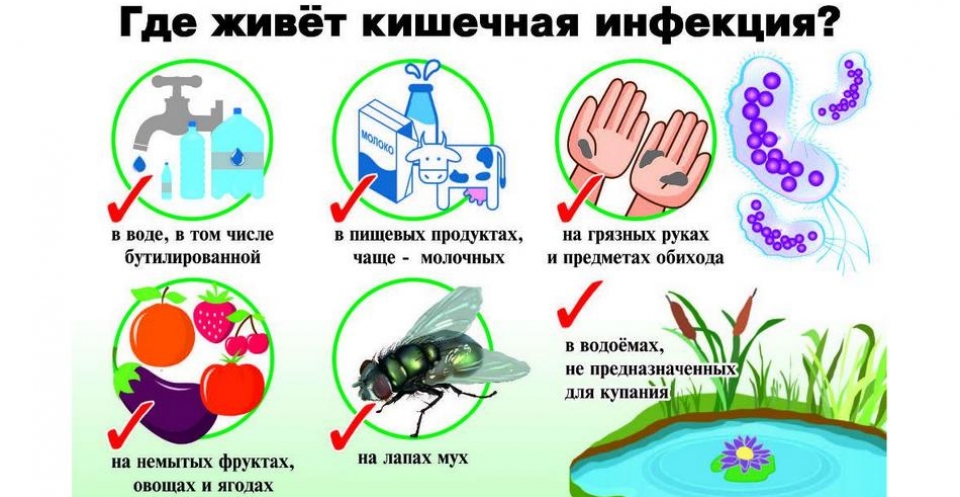 Изображения.